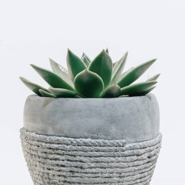Product 6 - Görsel 3